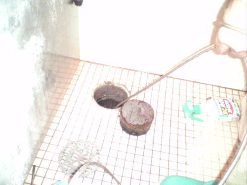 浴室排水管洗浄作業