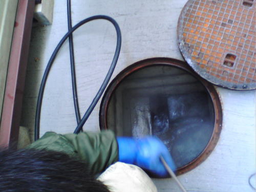 外桝排水管洗浄作業